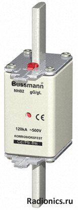  BUSSMANN, 100NHG02B