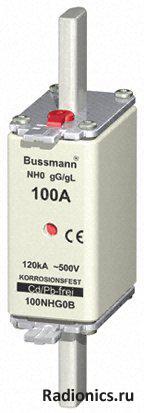  BUSSMANN, 100NHG0B