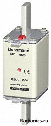  BUSSMANN, 250NHG1B